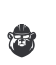 bear3-3